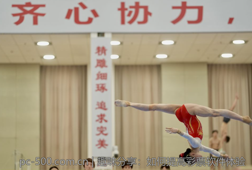 趣味分享：如何提高彩票软件体验