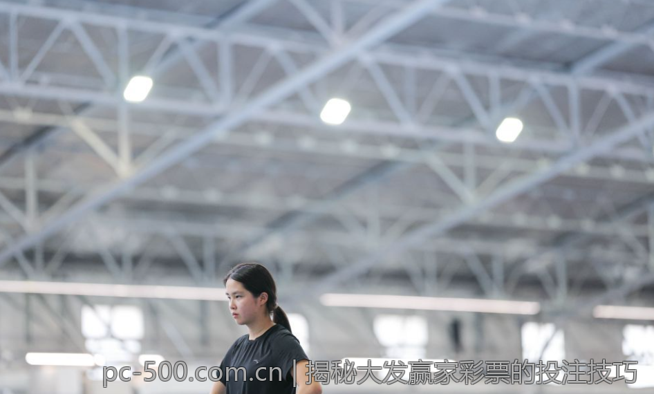 揭秘大发赢家彩票的投注技巧